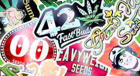 Тест: Разбираешься ли ты в сидбанках?