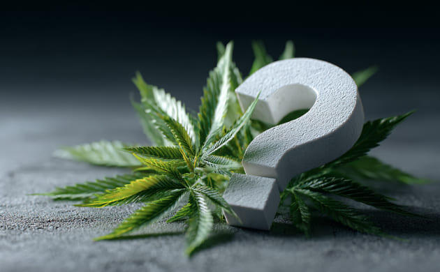 Изделия из конопли Что делают из конопли?