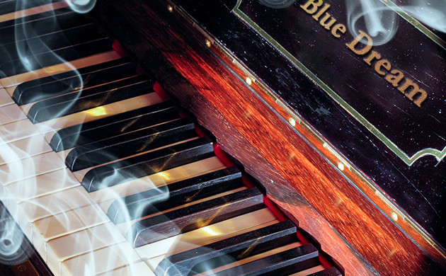 Эффект сорта конопли Blue Dream