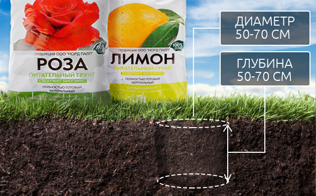 Лунка диаметром и глубиной 50-70 см