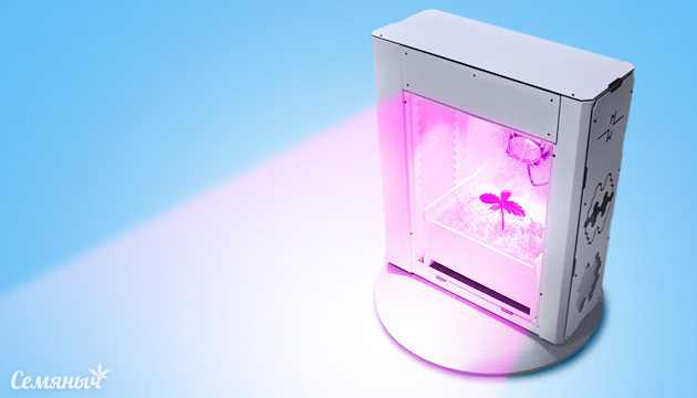 Стелс выращивание конопли Скрытное выращивание конопли