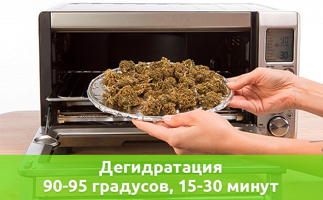 Процесс дегидратации Условия для дегидратации конопли