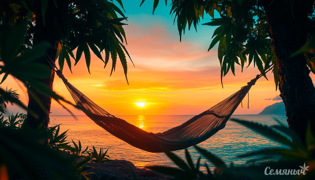 Расслабляющие сорта конопли День релакса