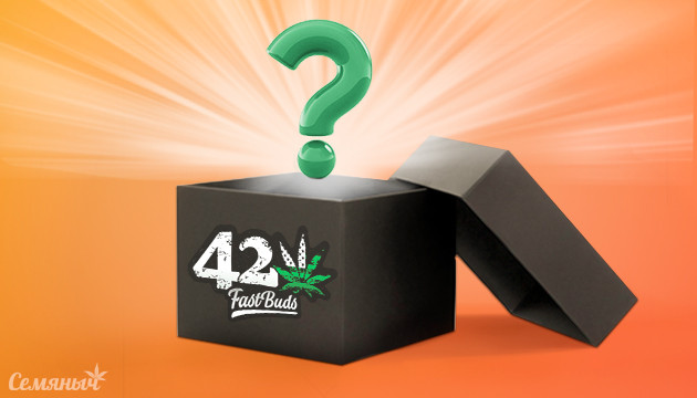 Подарок от FastBuds