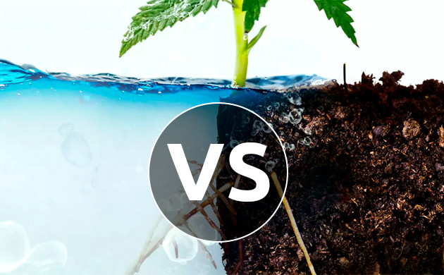 Грунт против гидропоники Выбор между грунтом и гидропоникой