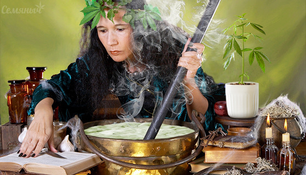 Питательные смеси для каннабиса