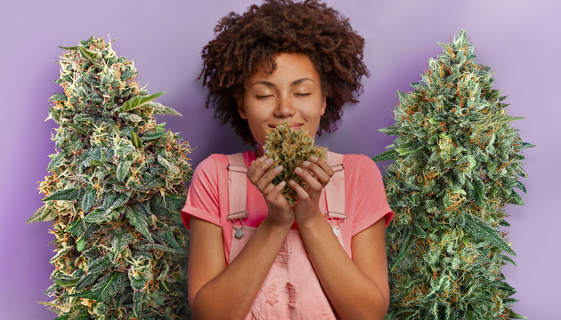 Как усилить эффект ТГК и КБД