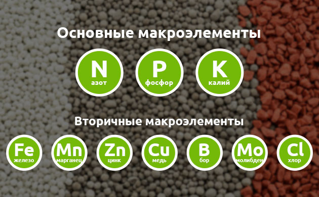 Индивидуальная смесь удобрений