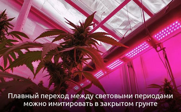 Имитация перехода между световыми периодами в индоре