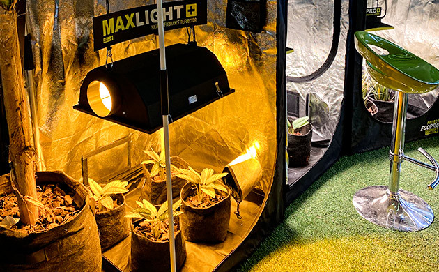 Spannabis 2023 в Испании