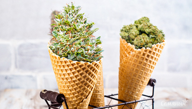 Мороженное из конопли