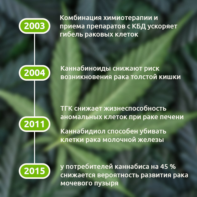 Исследования воздействия каннабиса Исследования 2003-2015 годов о помощи конопли в лечении рака