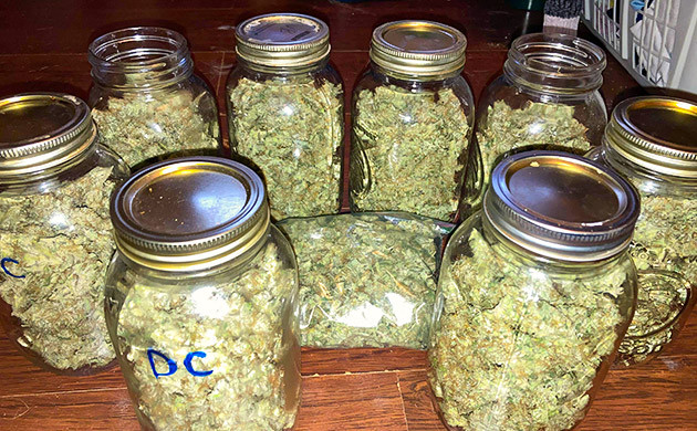 Пролечка и впечатления от выращивания Полученный урожай