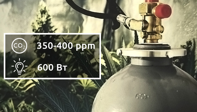 Углекислый газ