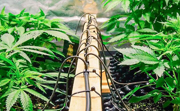 Оптимальный вариант под свои условия автополива