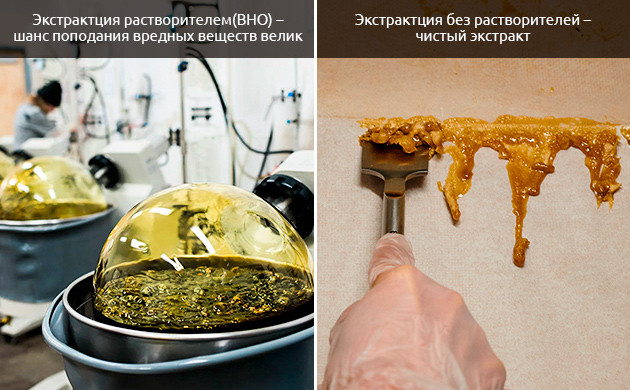 Никки Ти выбирает ледяную воду: Безопасность и экология