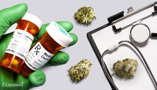 Влияние марихуаны на организм