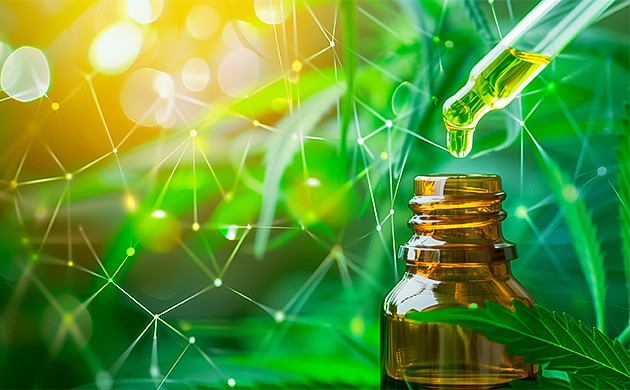 Непсихоактивный потенциал КБД против нервных заболеваний