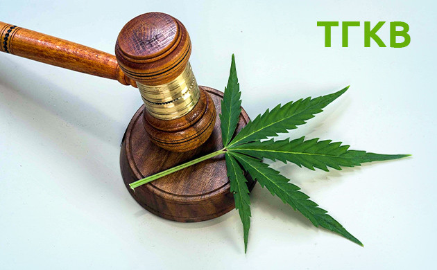 Легальность ТГКВ ТГКВ и закон