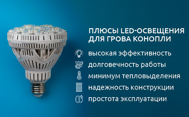 LED-освещение для конопли: преимущества и недостатки