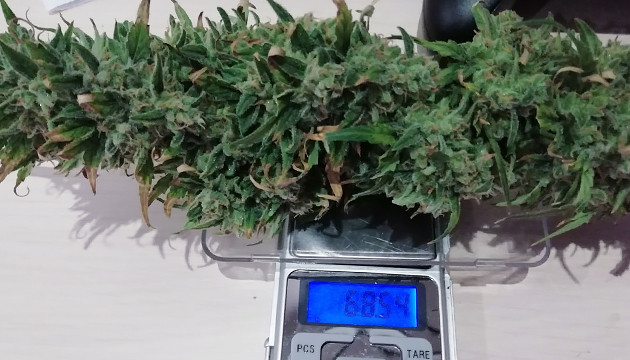 Шишка Т-34 на весах