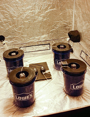 DWC системы в гроубоксе