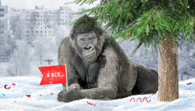 Новогодняя акция закончилась