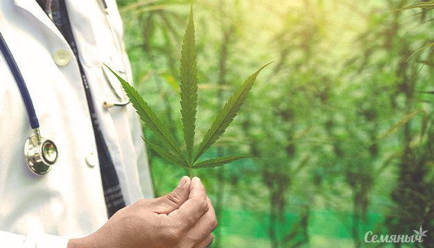 Как марихуана воздействует на иммунитет человека