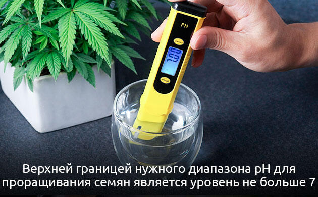 Идеальный pH для проращивания семян конопли Оптимальный pH для проращивания семян каннабиса: 5,5 - 7,0