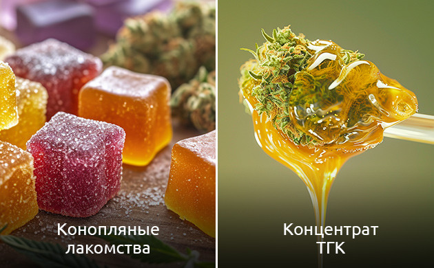 Стабильность концентратов каннабиса: секреты эффективного хранения