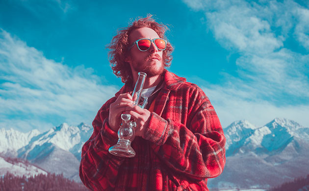 Где содержится эвкалиптол и в каких сферах жизни используется Эвкалиптол – носитель свежего аромата мяты