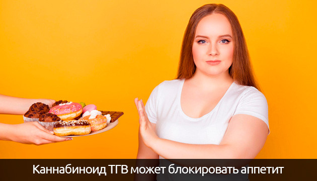 Каннабиноид ТГВ блокирует аппетит