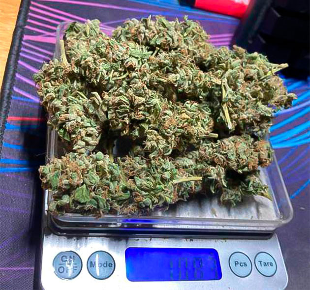 Харвест марихуаны