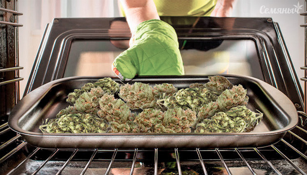 Сушка соцветий конопли