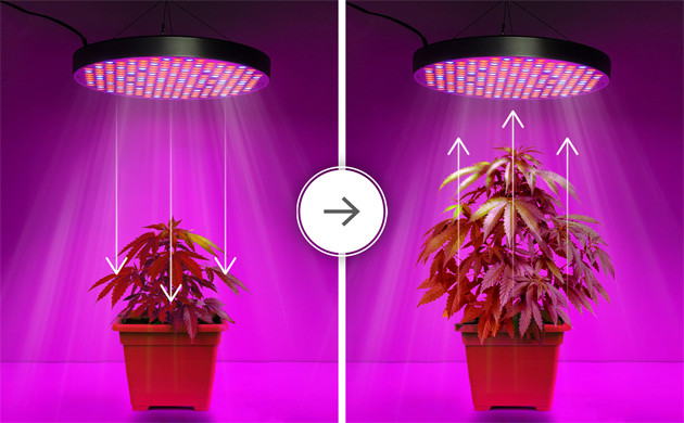 Сравнение биколорных светильников и ламп полного спектра Преимущества светильников полного спектра