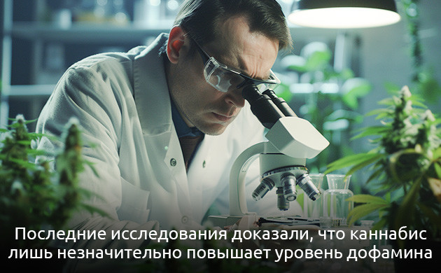 Влияние каннабиса на дофамин