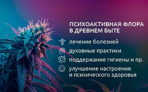 Культурное значение психоактивных растений
