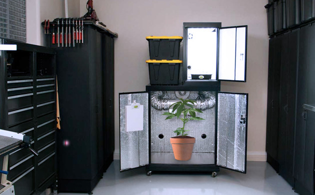 Как правильно разместить гроурум в кладовке Гроутент в кладовке