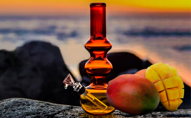 Усиление эффекта с помощью манго Бонг и манго