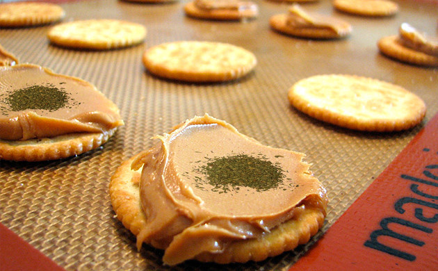 Рецепт приготовления печений из сушеного каннабиса Торопыжки из сушеной марихуаны