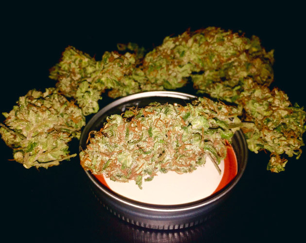 Итоги выращивания конопли Zkittlez Auto