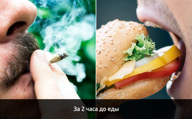 Использование каннабиса до еды Употребление марихуаны до еды