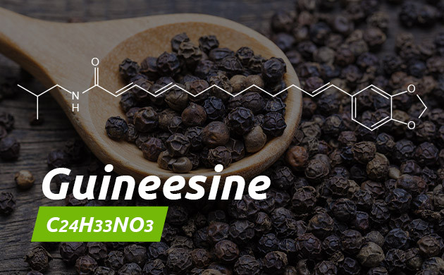 Химическое соединение guineesine Формула гвинезина