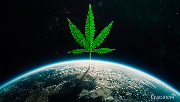 Влияние каннабиса на экологию Есть ли польза от конопли для экологии