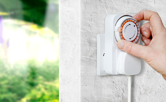 Ночное освещение конопли в холодную погоду Режим ночного освещения конопли в заморозки