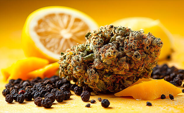 Терпеновый профиль RS11 Терпены RS11