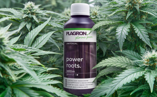 Био- и минерально-органические удобрения от Plagron Бренд Plagron