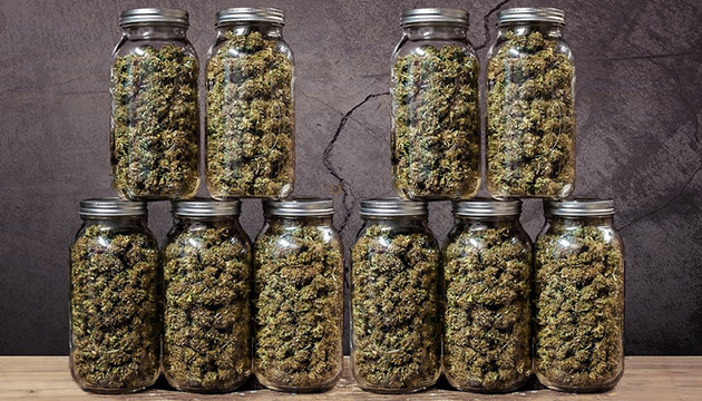 Хранение шишек марихуаны