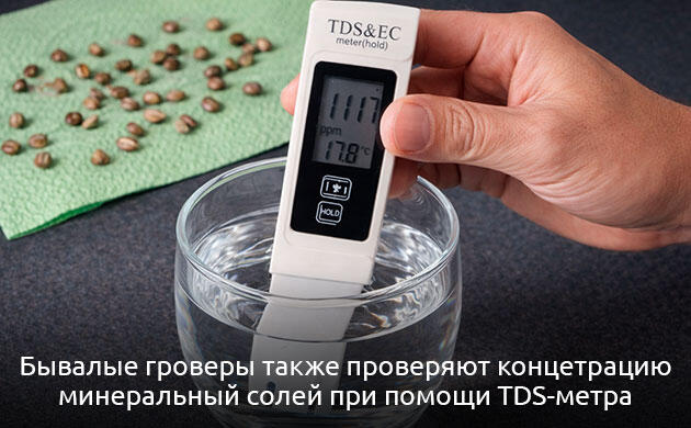 Как измерить уровень pH воды при проращивании семян марихуаны Измерение pH воды для проращивания семян каннабиса