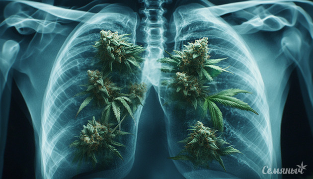 Как курение влияет на здоровье легких